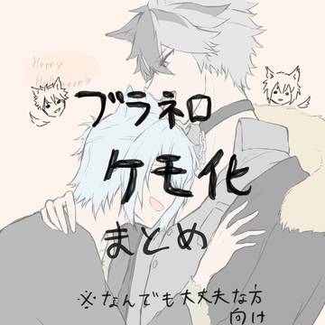 ブラネロケモ化詰め