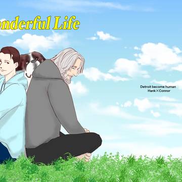 Wonderful Life