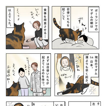 マダムのモーニングルーティン✨