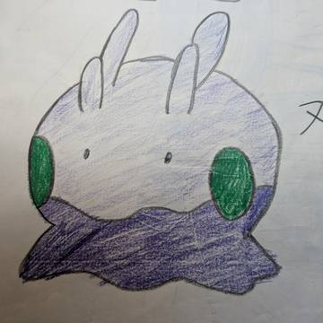 ヌメラ