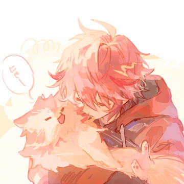 🦉🐈