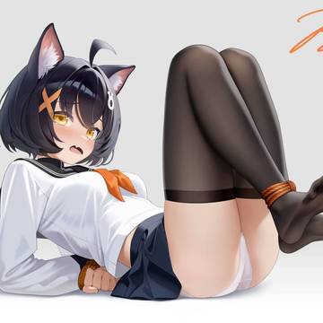 战术猫猫捕获