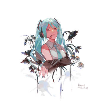 no title