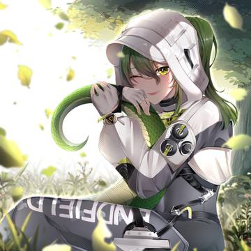 fluorite arknights endfield