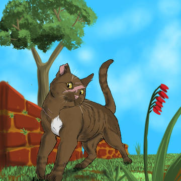 Warriorcats collection 4
