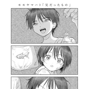 FANBOXについて