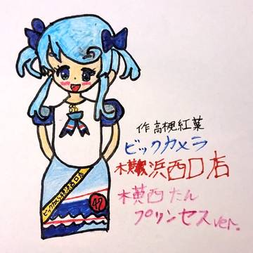 ビッカメ娘 横西たん プリンセスVer.