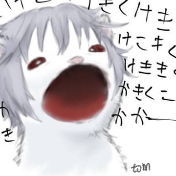 アクセラキャット