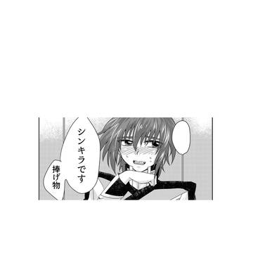 シンキラ 捧げ物です