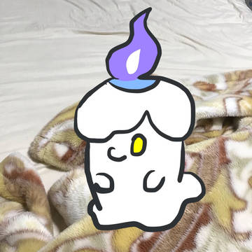 ヒトモシ詰め合わせ