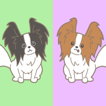 パピズ