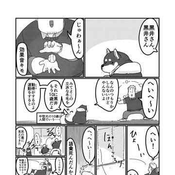 もう坂が怖い