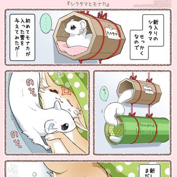 【番外編】奉日本家の管狐・続5