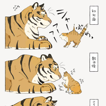 🐱🐯