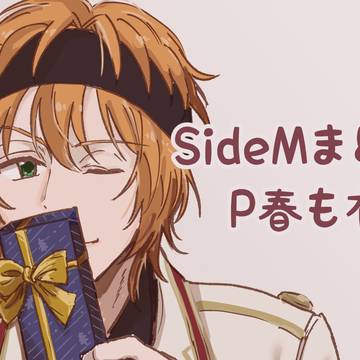 SideMまとめ