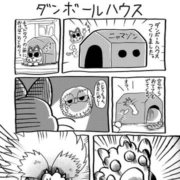 ダンボールハウスを作った話