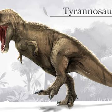 ティラノサウルス