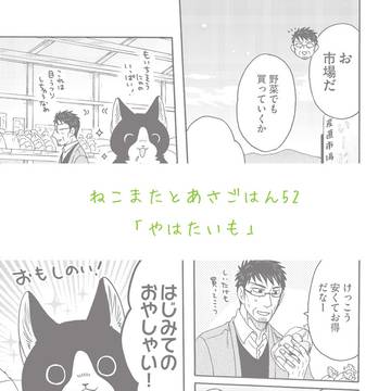 ねこまたとあさごはん52