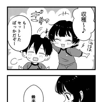 【いさばち】収穫