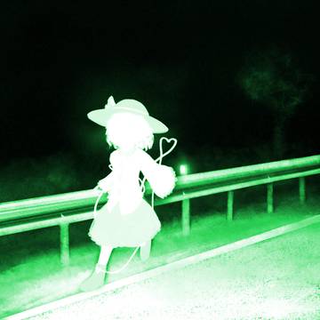Koishi sighting