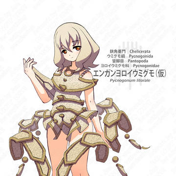 【ヨロイウミグモ類】