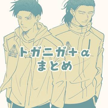 トガニガ＋αまとめ