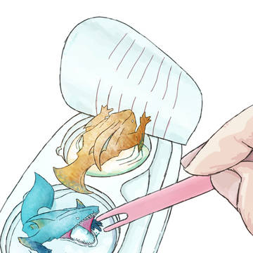 ザボア雪見だいふくコラボ！！