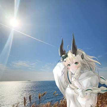 リードと写真
