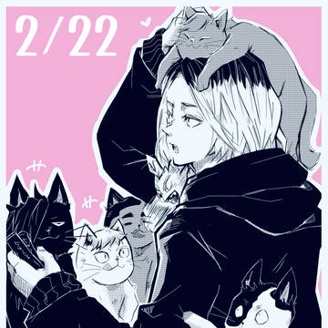 【HQ‼︎】2/22 - 猫の日 🐾