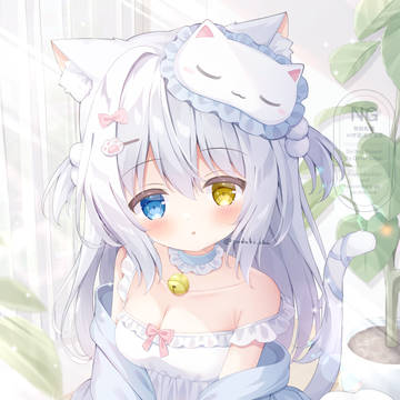 猫の日🐾