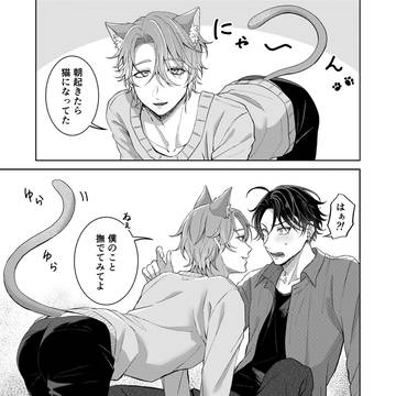 猫の日🐈