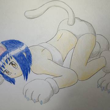 猫美魚