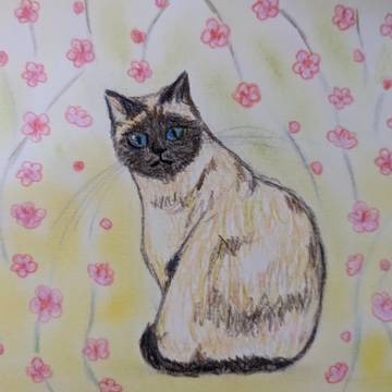 シャムっぽい猫さんと梅の花
