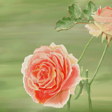 いつかの薔薇