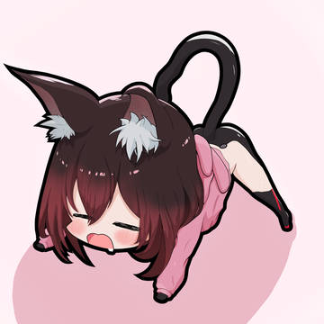 Roboco cat 😸💤💕