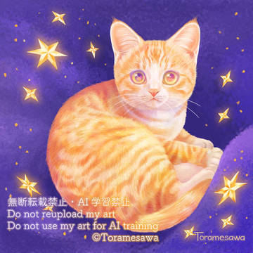星の寝床