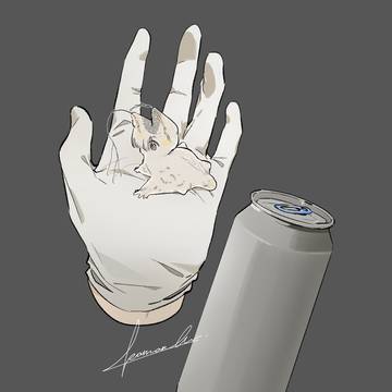 ソコキリコクラゲムシ