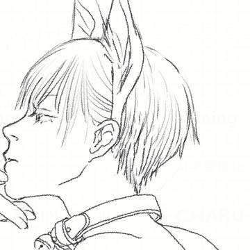 猫の日なので