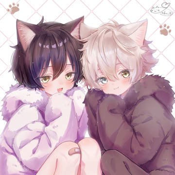 🐱🐱