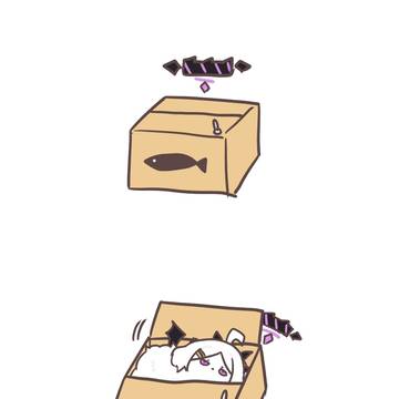 からくりボックス