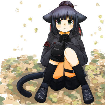 noraneko