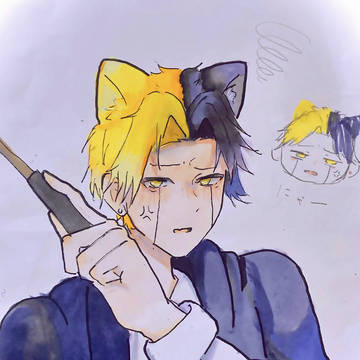 猫の日
