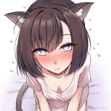 猫の日、秋月