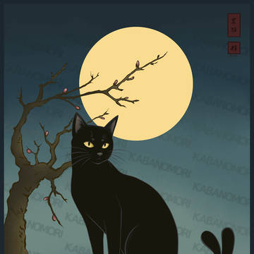 黒猫