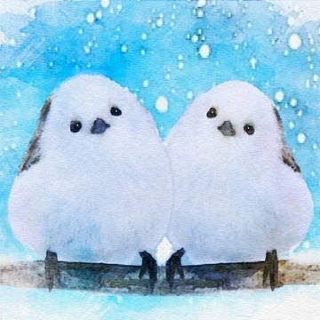シマエナガ