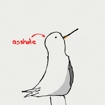 カモメ (Seagull)