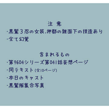 第9604シリーズ第041話の幻覚
