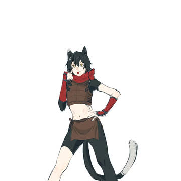 猫猫