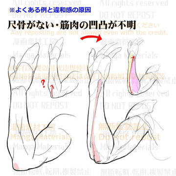 個人メモ:前腕の構造