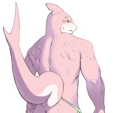 ジョグスト鮫
